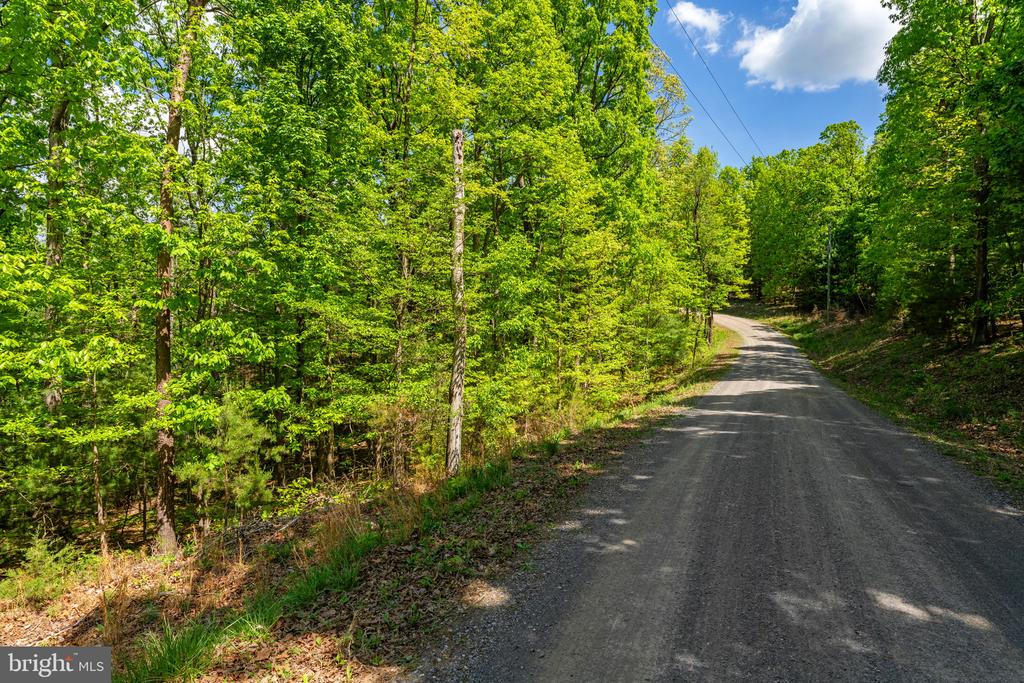 HOLIDAY HILL ROAD, LURAY, Virginia 22835, ,Land,HOLIDAY HILL ROAD,VAPA2006348 MLS # VAPA2006348