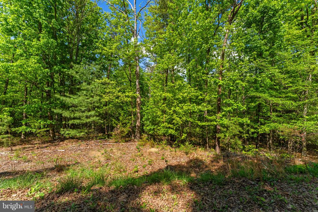 HOLIDAY HILL ROAD, LURAY, Virginia 22835, ,Land,HOLIDAY HILL ROAD,VAPA2006348 MLS # VAPA2006348