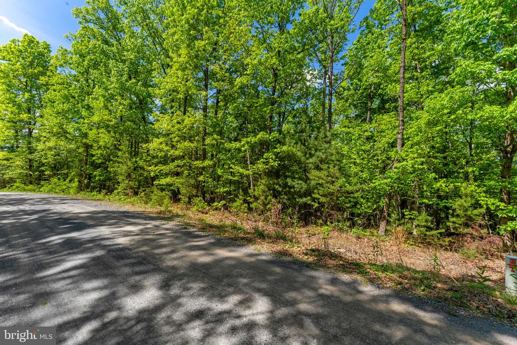 HOLIDAY HILL ROAD, LURAY, Virginia 22835, ,Land,HOLIDAY HILL ROAD,VAPA2006348 MLS # VAPA2006348