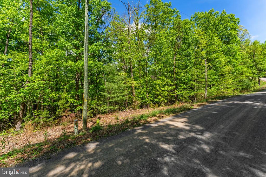 HOLIDAY HILL ROAD, LURAY, Virginia 22835, ,Land,HOLIDAY HILL ROAD,VAPA2006348 MLS # VAPA2006348
