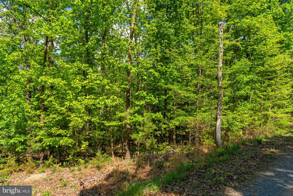 HOLIDAY HILL ROAD, LURAY, Virginia 22835, ,Land,HOLIDAY HILL ROAD,VAPA2006348 MLS # VAPA2006348