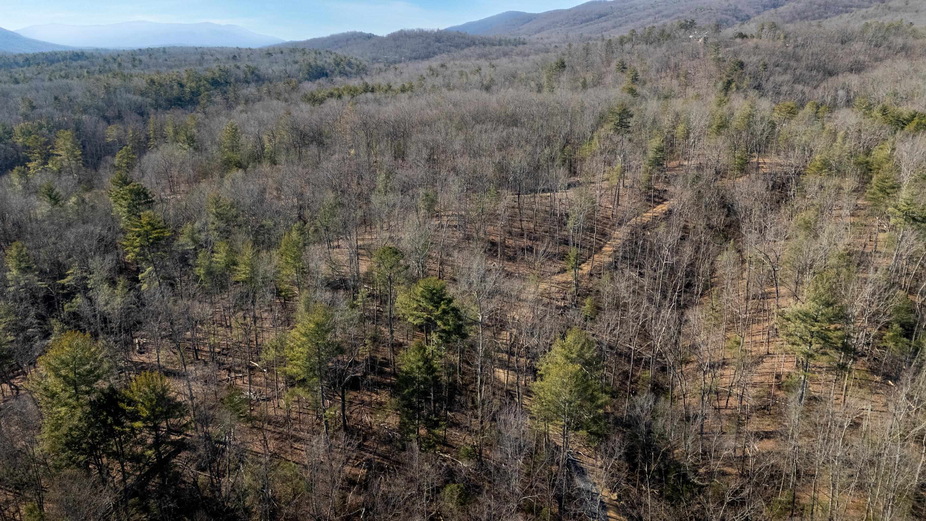 24.97 ac STRIBLING SPRINGS RD, MOUNT SOLON, Virginia 22843, ,Land,24.97 ac STRIBLING SPRINGS RD,676779 MLS # 676779