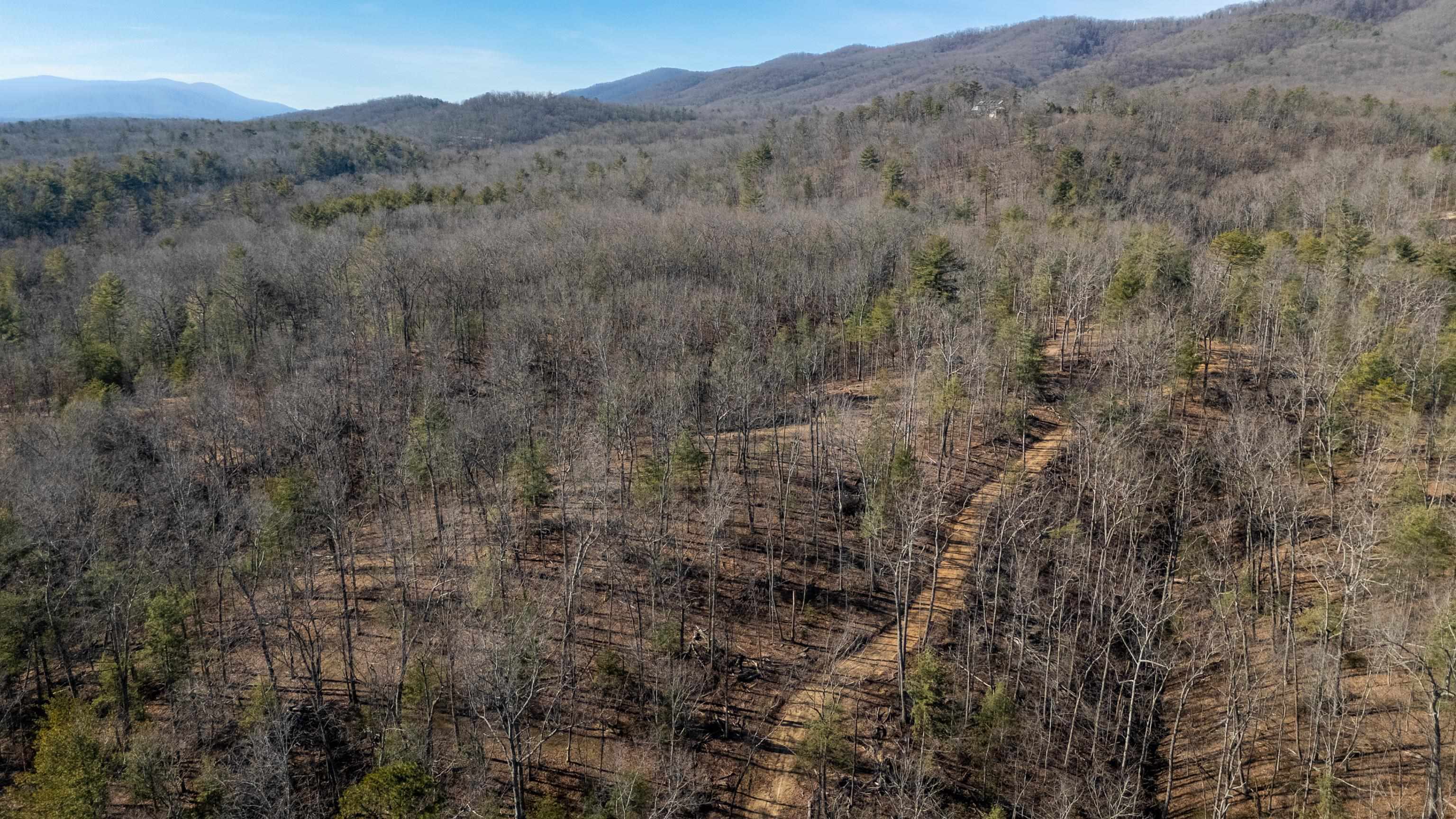 24.97 ac STRIBLING SPRINGS RD, MOUNT SOLON, Virginia 22843, ,Land,24.97 ac STRIBLING SPRINGS RD,676779 MLS # 676779