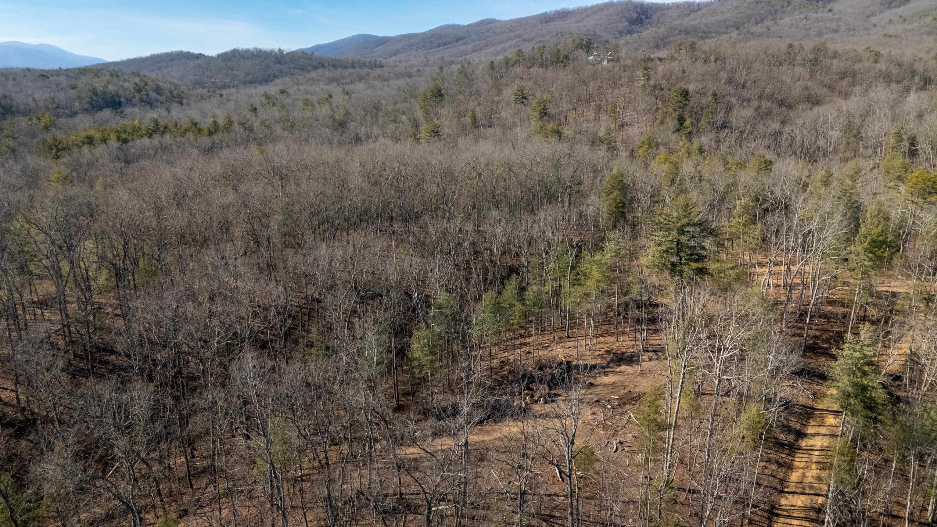 24.97 ac STRIBLING SPRINGS RD, MOUNT SOLON, Virginia 22843, ,Land,24.97 ac STRIBLING SPRINGS RD,676779 MLS # 676779