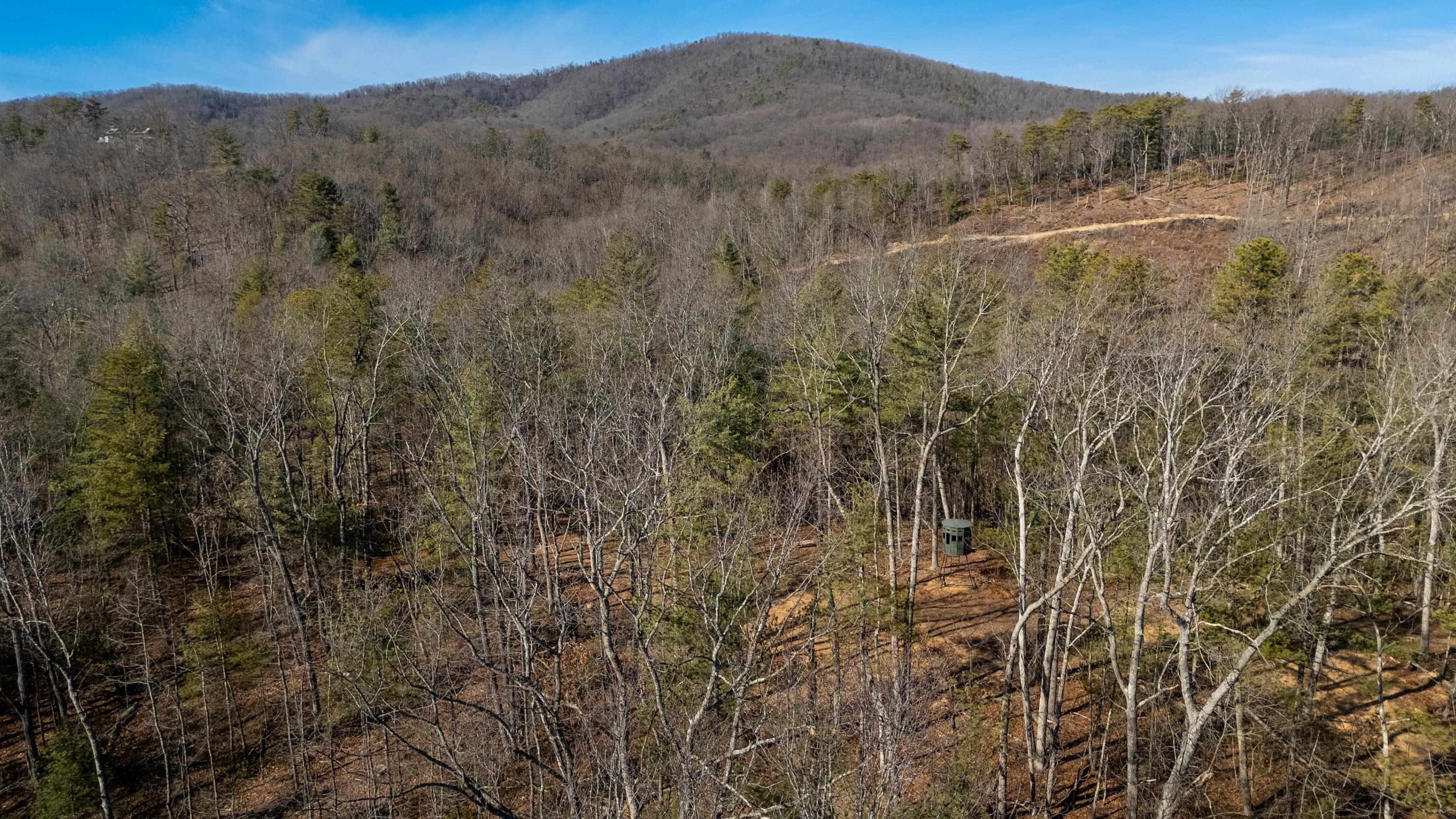 24.97 ac STRIBLING SPRINGS RD, MOUNT SOLON, Virginia 22843, ,Land,24.97 ac STRIBLING SPRINGS RD,676779 MLS # 676779