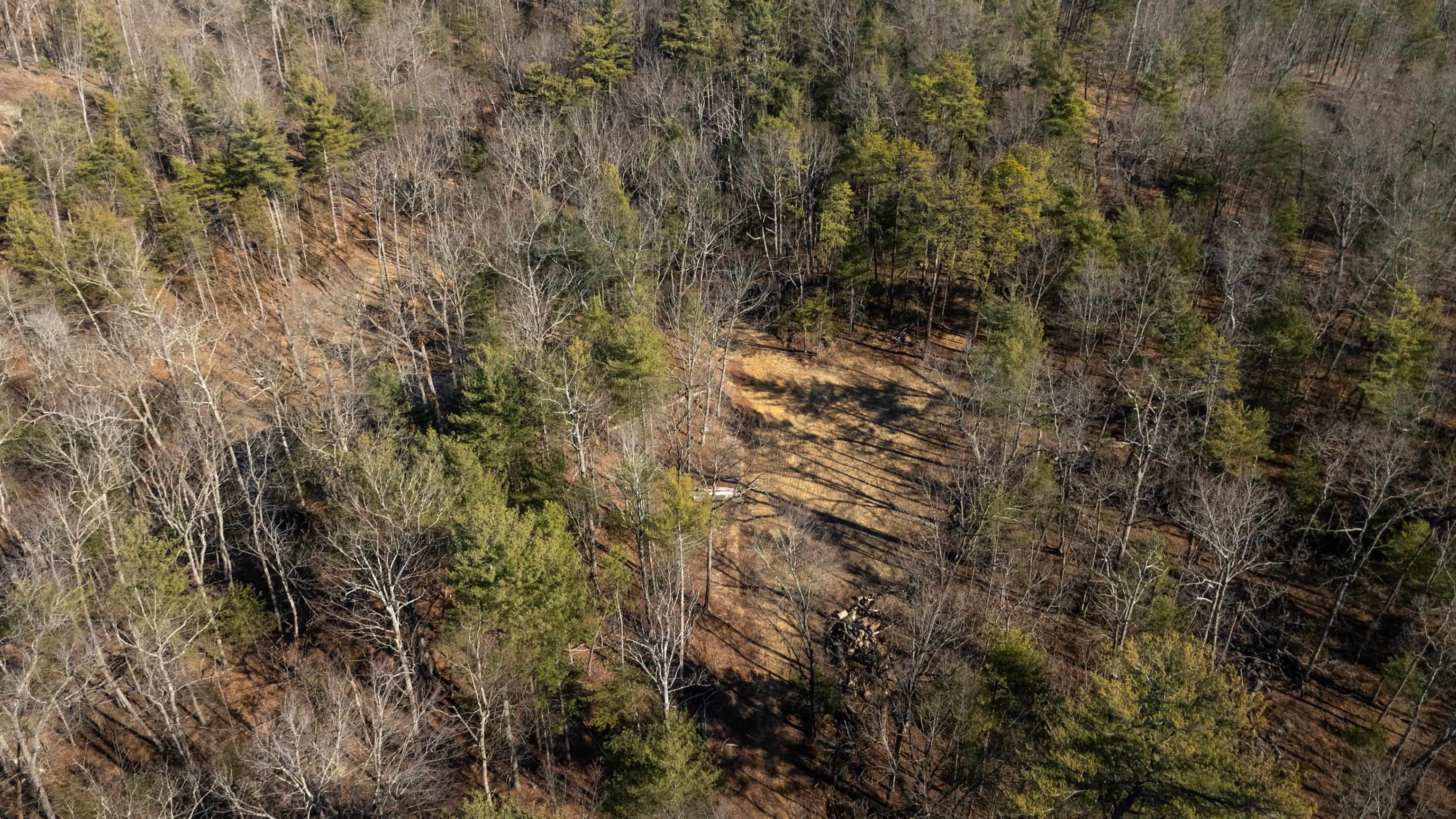 24.97 ac STRIBLING SPRINGS RD, MOUNT SOLON, Virginia 22843, ,Land,24.97 ac STRIBLING SPRINGS RD,676779 MLS # 676779