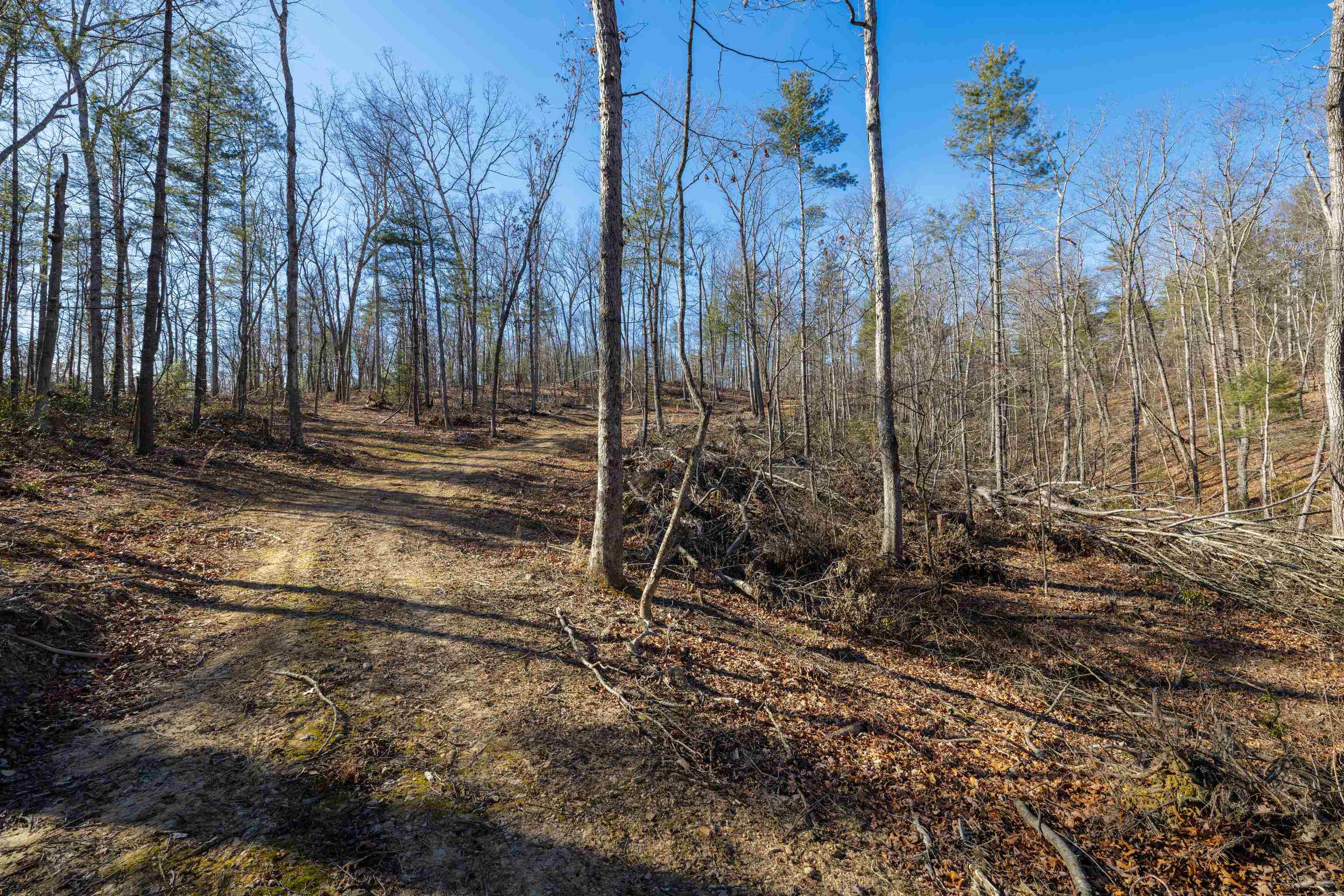 24.97 ac STRIBLING SPRINGS RD, MOUNT SOLON, Virginia 22843, ,Land,24.97 ac STRIBLING SPRINGS RD,676779 MLS # 676779