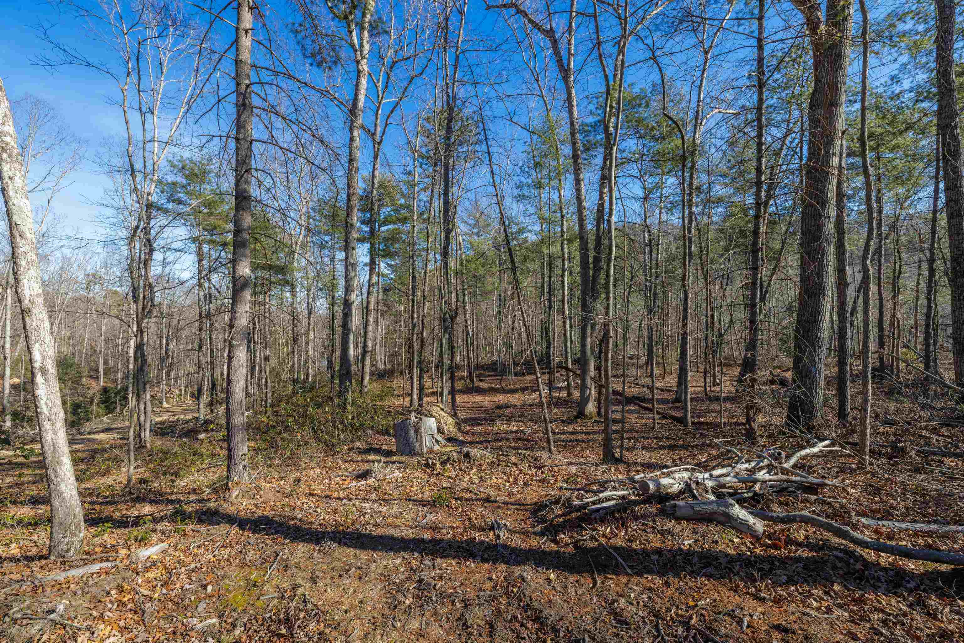 24.97 ac STRIBLING SPRINGS RD, MOUNT SOLON, Virginia 22843, ,Land,24.97 ac STRIBLING SPRINGS RD,676779 MLS # 676779