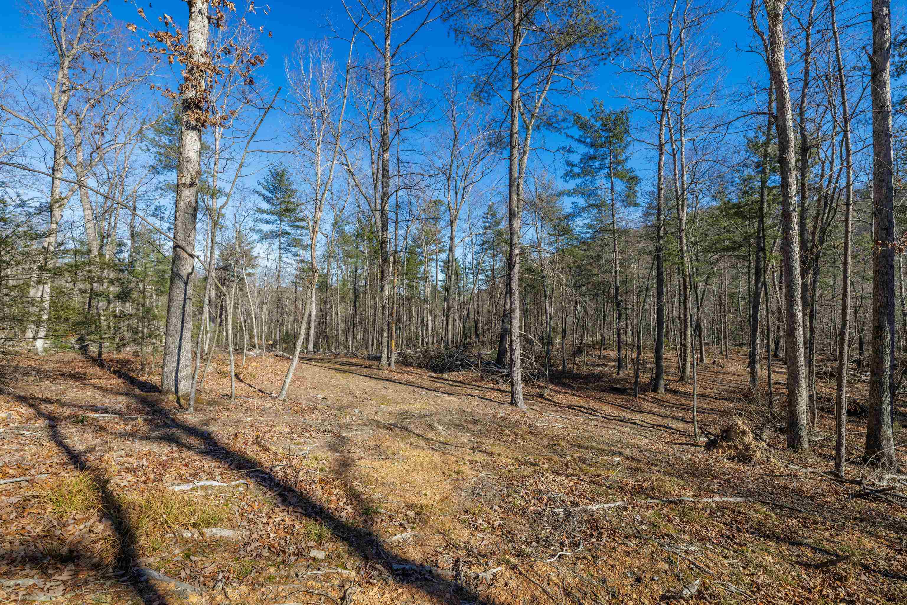 24.97 ac STRIBLING SPRINGS RD, MOUNT SOLON, Virginia 22843, ,Land,24.97 ac STRIBLING SPRINGS RD,676779 MLS # 676779