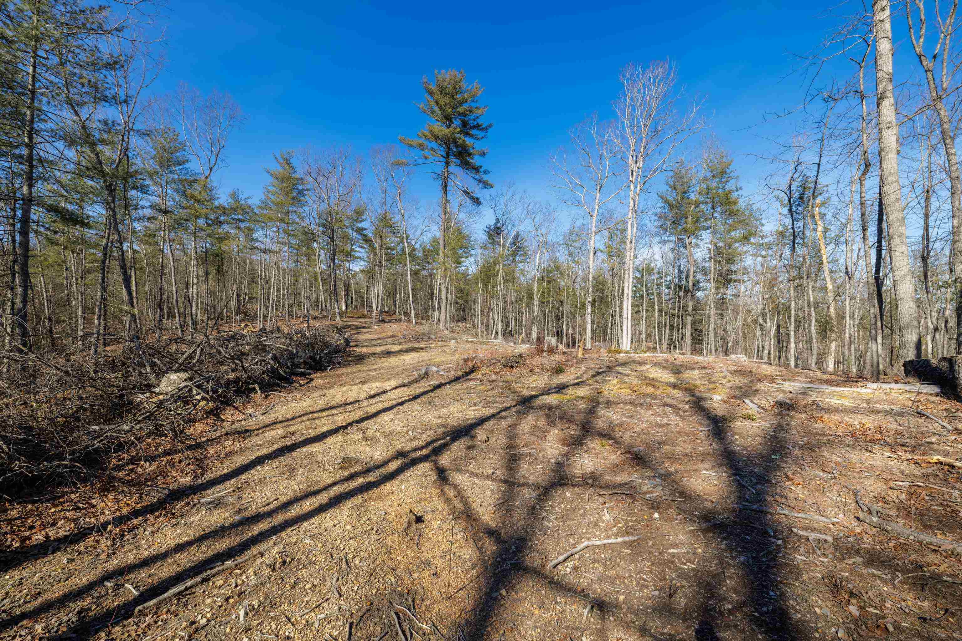 24.97 ac STRIBLING SPRINGS RD, MOUNT SOLON, Virginia 22843, ,Land,24.97 ac STRIBLING SPRINGS RD,676779 MLS # 676779