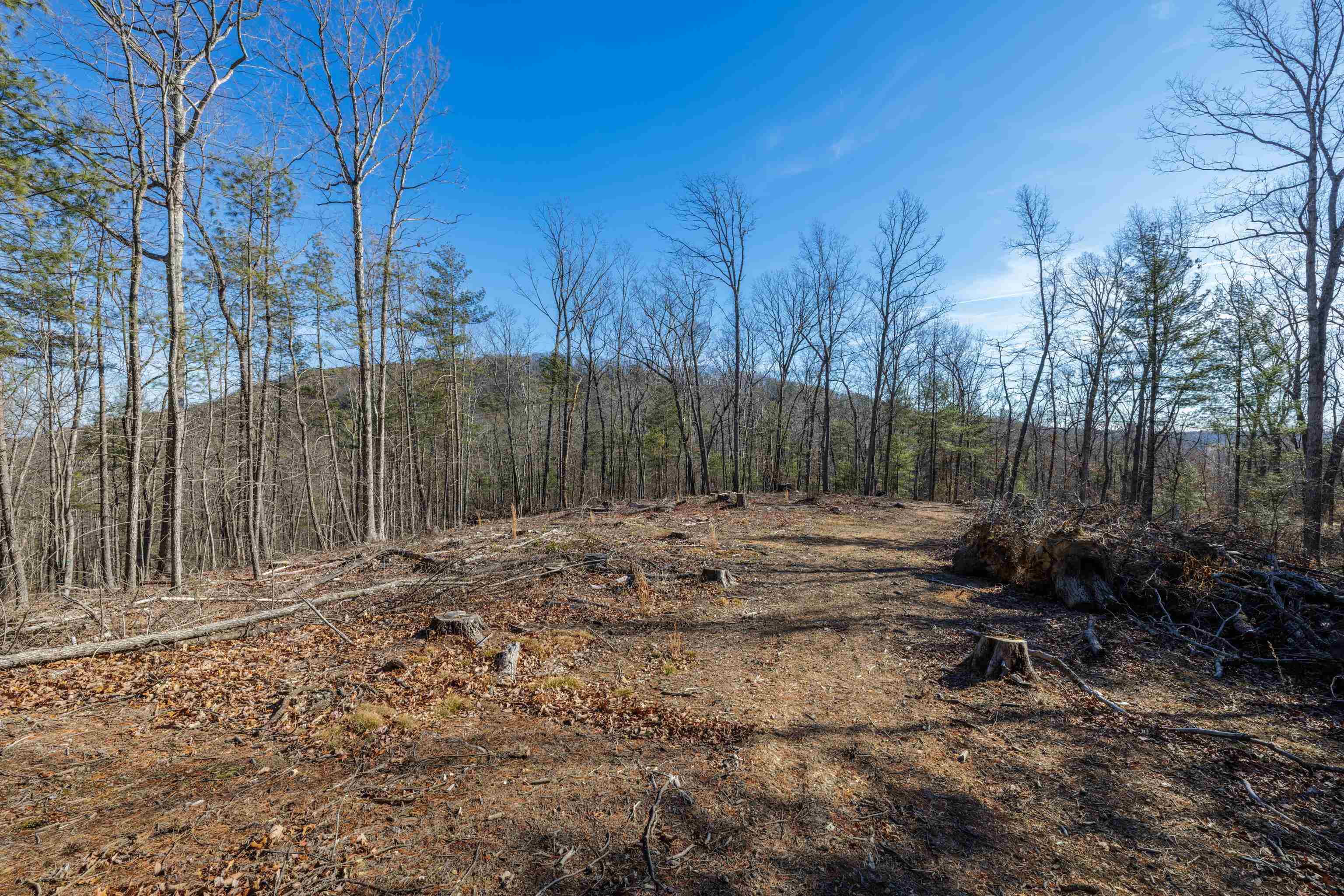 24.97 ac STRIBLING SPRINGS RD, MOUNT SOLON, Virginia 22843, ,Land,24.97 ac STRIBLING SPRINGS RD,676779 MLS # 676779