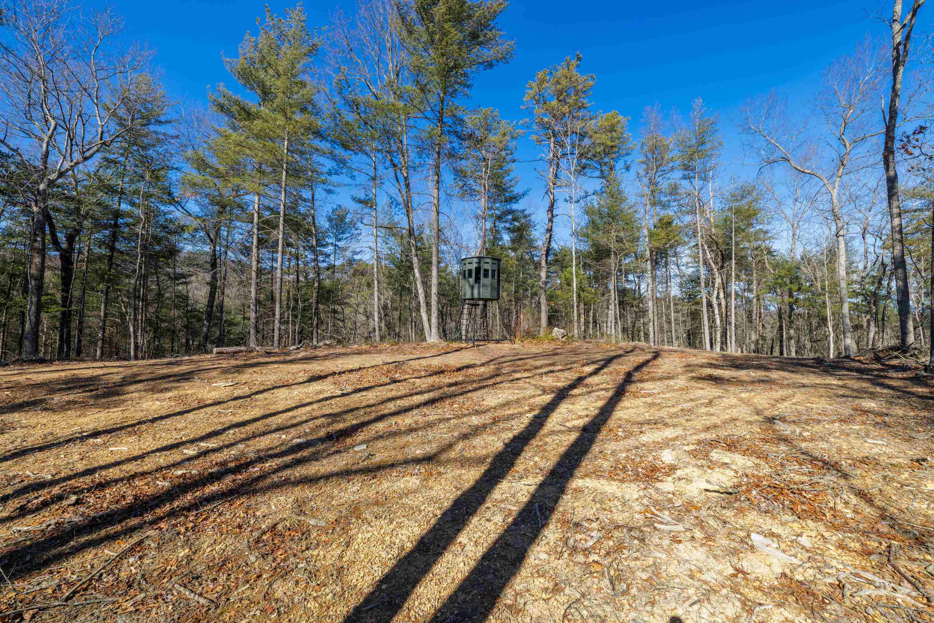 24.97 ac STRIBLING SPRINGS RD, MOUNT SOLON, Virginia 22843, ,Land,24.97 ac STRIBLING SPRINGS RD,676779 MLS # 676779