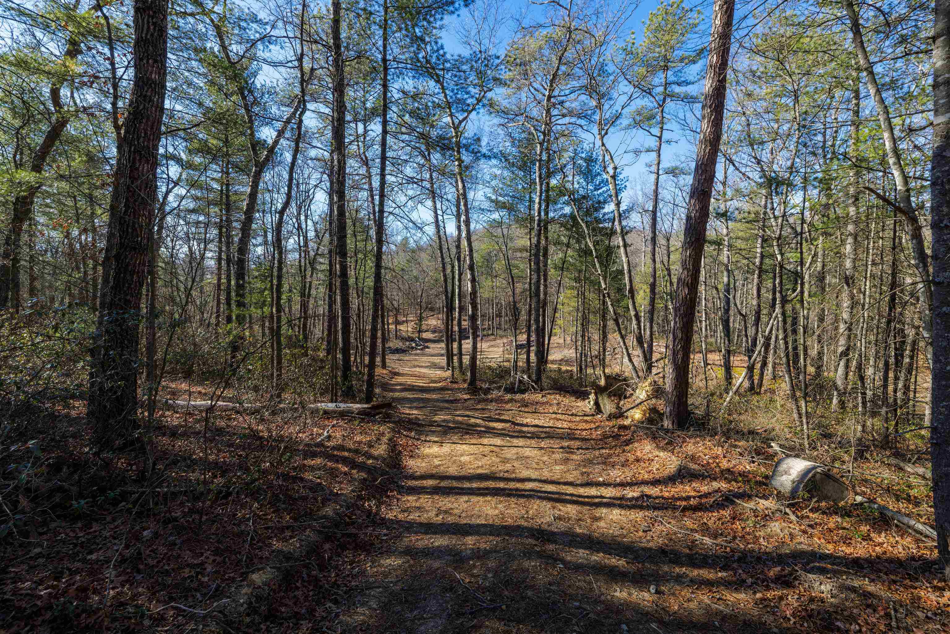 24.97 ac STRIBLING SPRINGS RD, MOUNT SOLON, Virginia 22843, ,Land,24.97 ac STRIBLING SPRINGS RD,676779 MLS # 676779