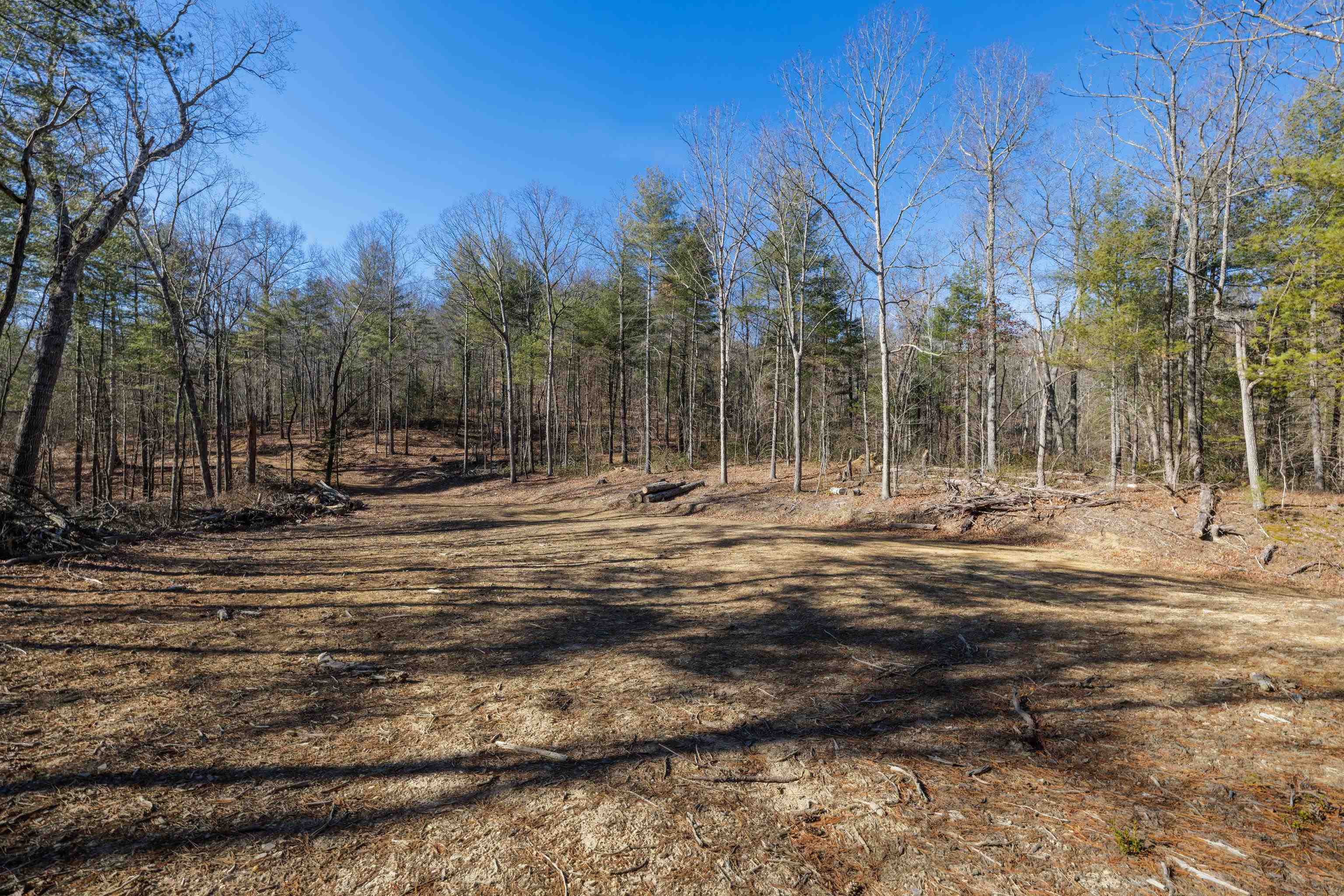 24.97 ac STRIBLING SPRINGS RD, MOUNT SOLON, Virginia 22843, ,Land,24.97 ac STRIBLING SPRINGS RD,676779 MLS # 676779
