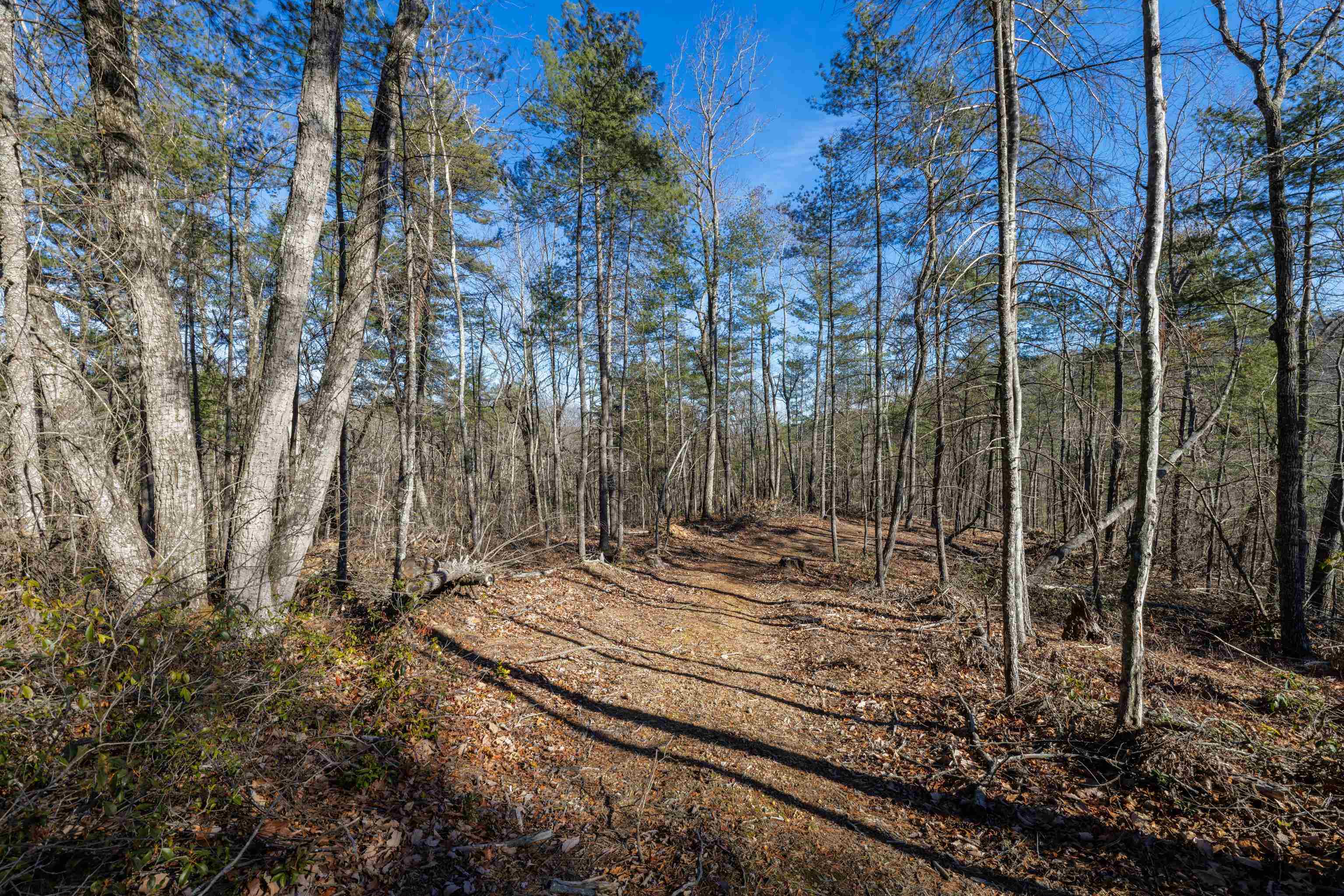 24.97 ac STRIBLING SPRINGS RD, MOUNT SOLON, Virginia 22843, ,Land,24.97 ac STRIBLING SPRINGS RD,676779 MLS # 676779