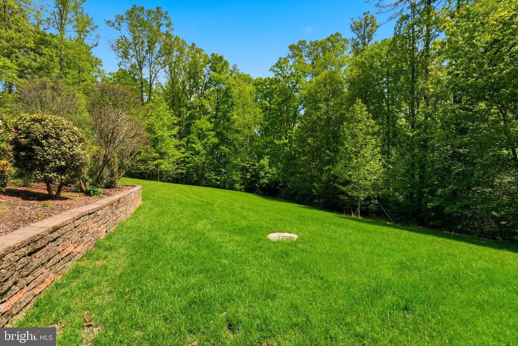 14254 DEERTRACK TRL, CULPEPER, Virginia 22701, 3 Bedrooms Bedrooms, ,2 BathroomsBathrooms,Residential,14254 DEERTRACK TRL,VACU2013558 MLS # VACU2013558