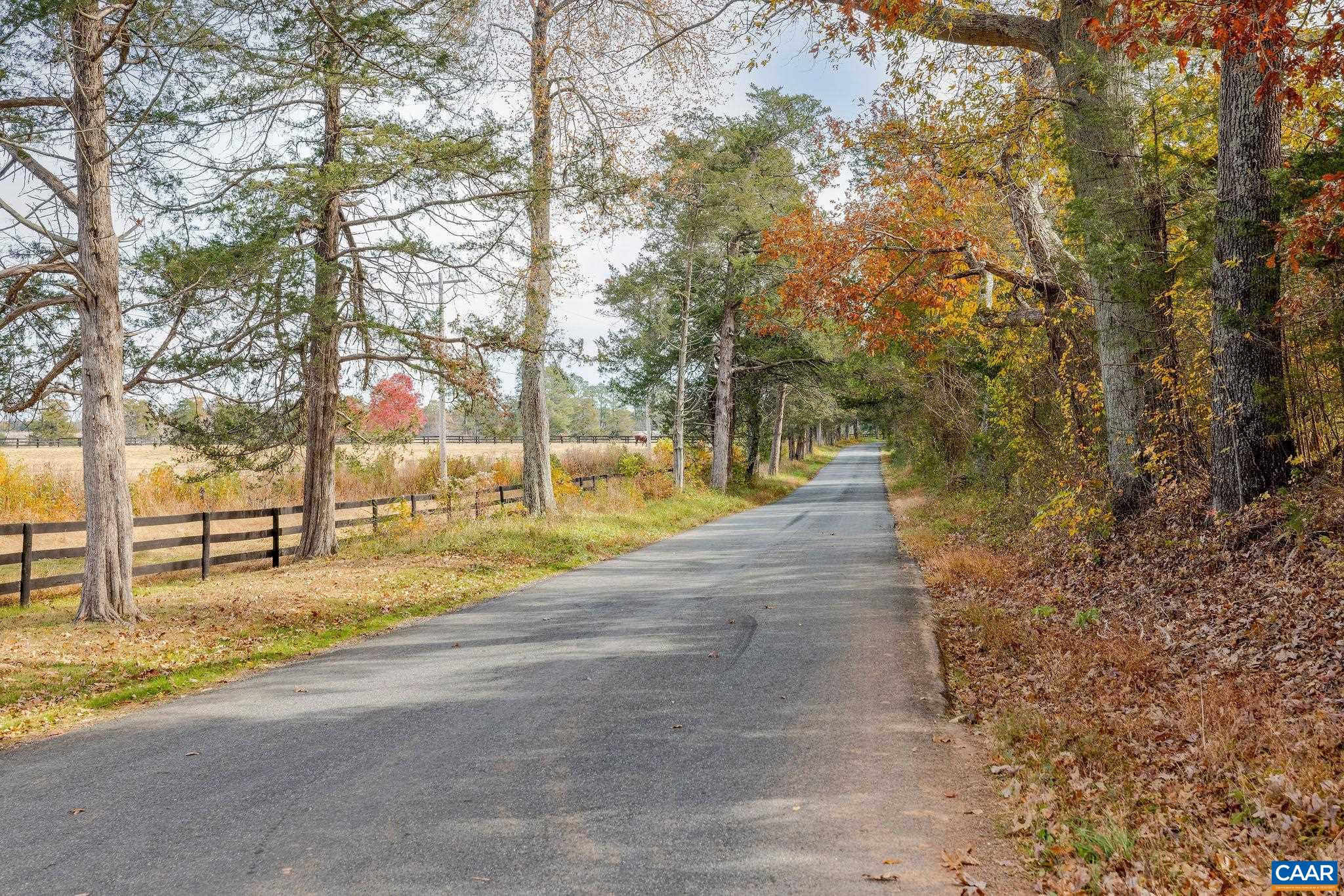 21 acres TBB COLES ROLLING RD, SCOTTSVILLE, Virginia 24590, 4 Bedrooms Bedrooms, ,3 BathroomsBathrooms,Residential,21 acres TBB COLES ROLLING RD,676507 MLS # 676507
