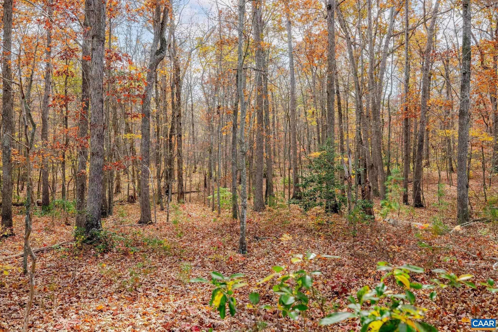 21 acres TBB COLES ROLLING RD, SCOTTSVILLE, Virginia 24590, 4 Bedrooms Bedrooms, ,3 BathroomsBathrooms,Residential,21 acres TBB COLES ROLLING RD,676507 MLS # 676507