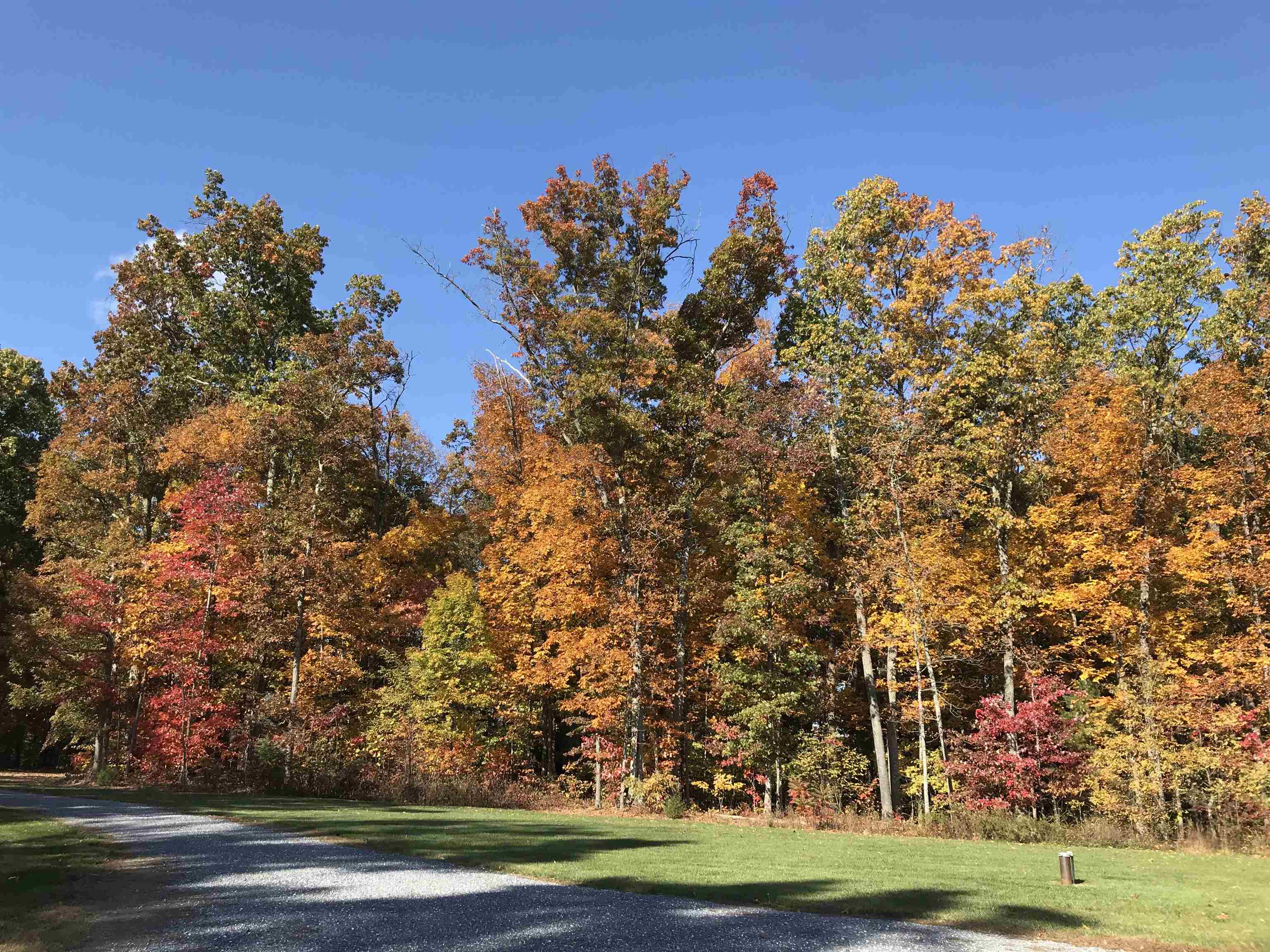 324 LOFTON RD, RAPHINE, Virginia 24472, 3 Bedrooms Bedrooms, ,3 BathroomsBathrooms,Residential,324 LOFTON RD,676769 MLS # 676769