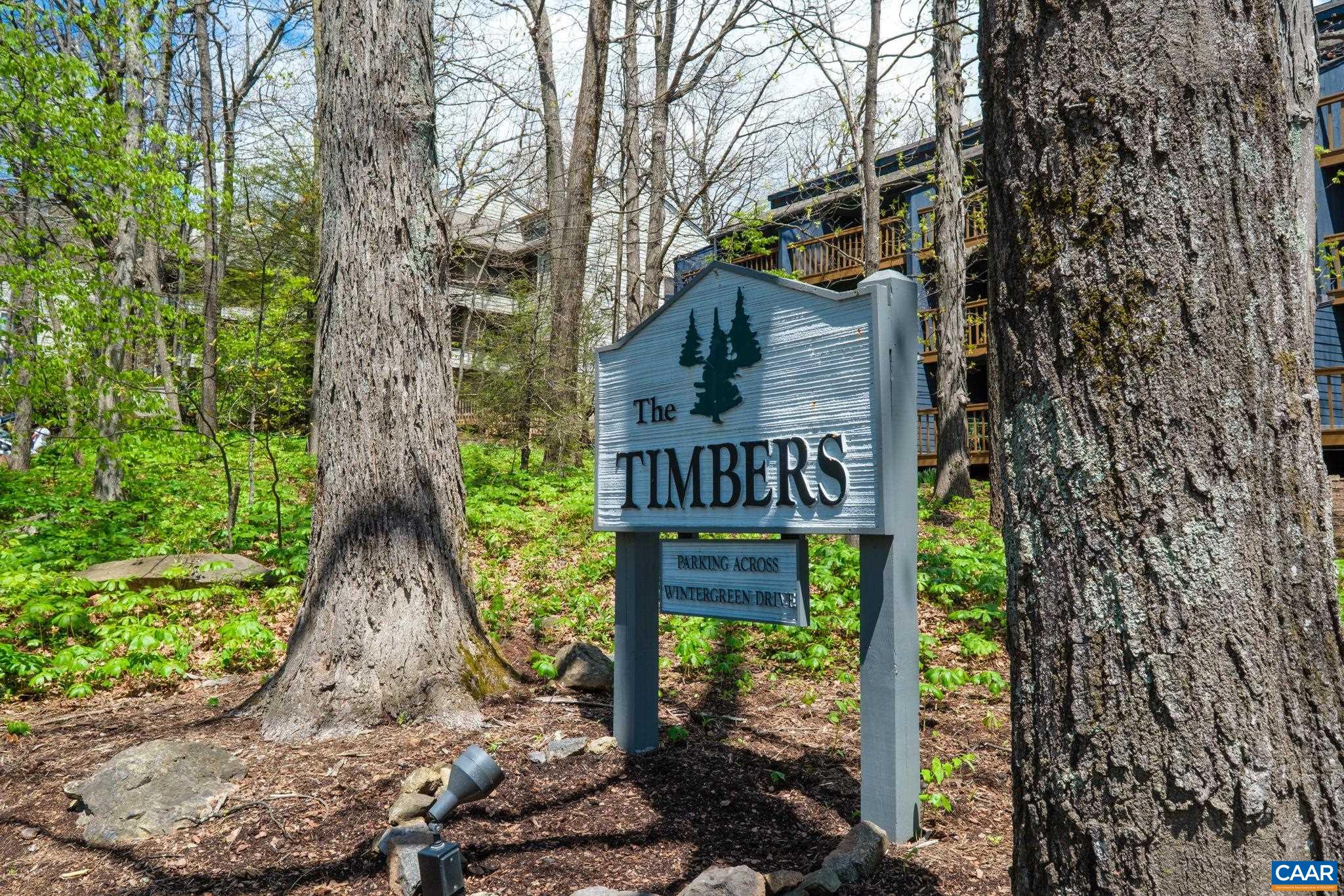 247 TIMBERS CONDOS, WINTERGREEN RESORT, Virginia 22958, 1 Bedroom Bedrooms, ,1 BathroomBathrooms,Residential,247 TIMBERS CONDOS,676774 MLS # 676774