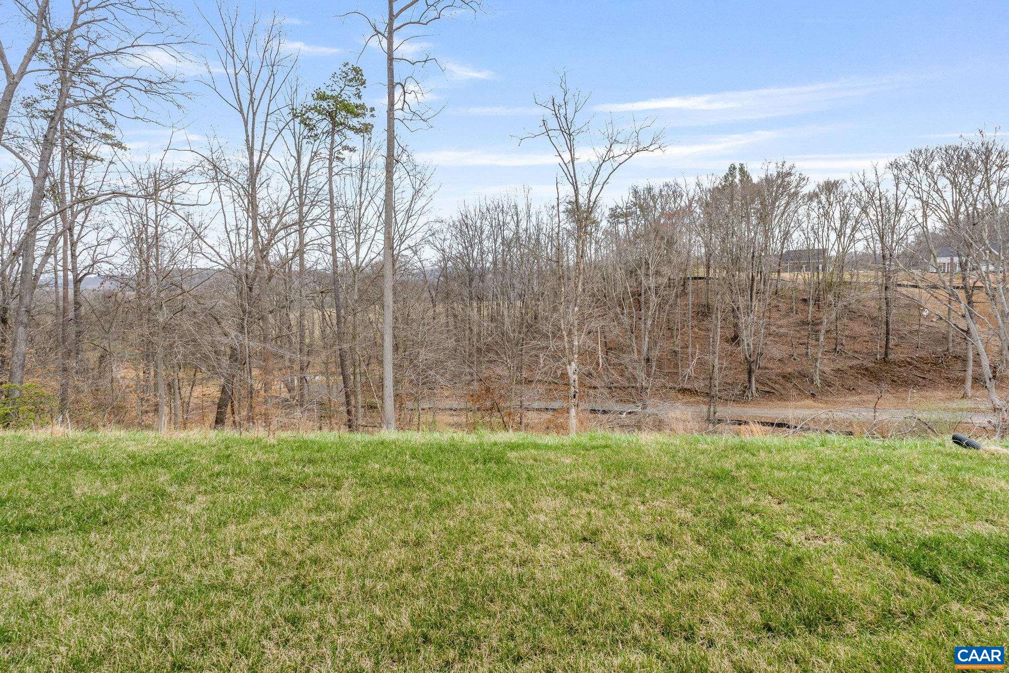 3419 ASHLIN COVE, CHARLOTTESVILLE, Virginia 22901, 4 Bedrooms Bedrooms, ,3 BathroomsBathrooms,Residential,Marigold plan on an unfinished walkout basement fo,3419 ASHLIN COVE,676792 MLS # 676792