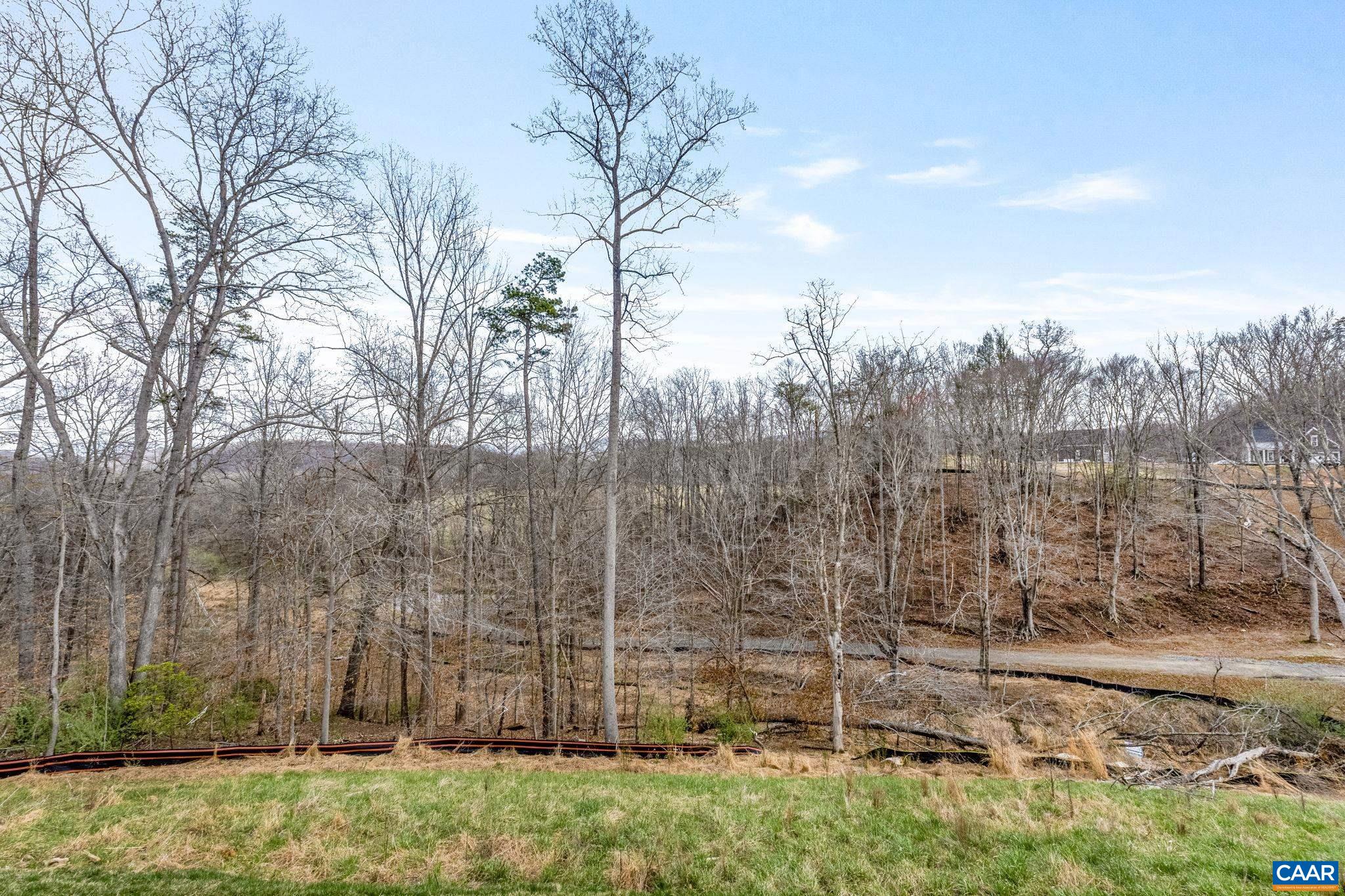3419 ASHLIN COVE, CHARLOTTESVILLE, Virginia 22901, 4 Bedrooms Bedrooms, ,3 BathroomsBathrooms,Residential,Marigold plan on an unfinished walkout basement fo,3419 ASHLIN COVE,676792 MLS # 676792