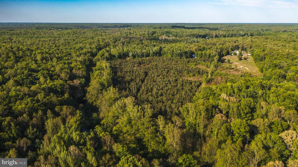 0 HARTS MILL RD, MINERAL, Virginia 23117, ,Land,0 HARTS MILL RD,VALA2009832 MLS # VALA2009832