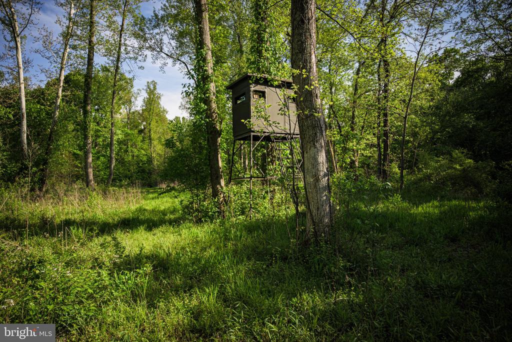 0 HARTS MILL RD, MINERAL, Virginia 23117, ,Land,0 HARTS MILL RD,VALA2009832 MLS # VALA2009832
