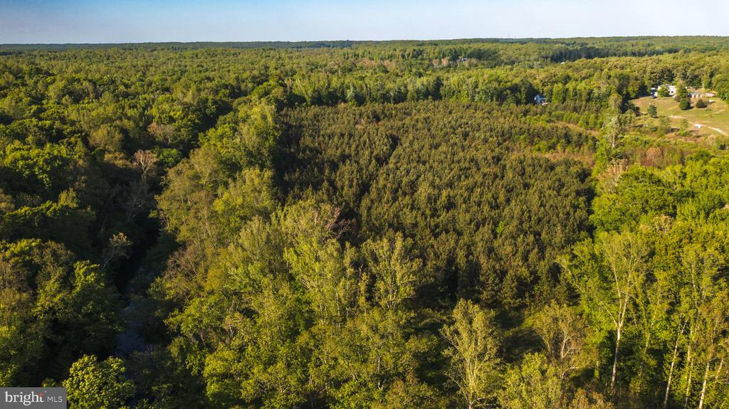 0 HARTS MILL RD, MINERAL, Virginia 23117, ,Land,0 HARTS MILL RD,VALA2009832 MLS # VALA2009832