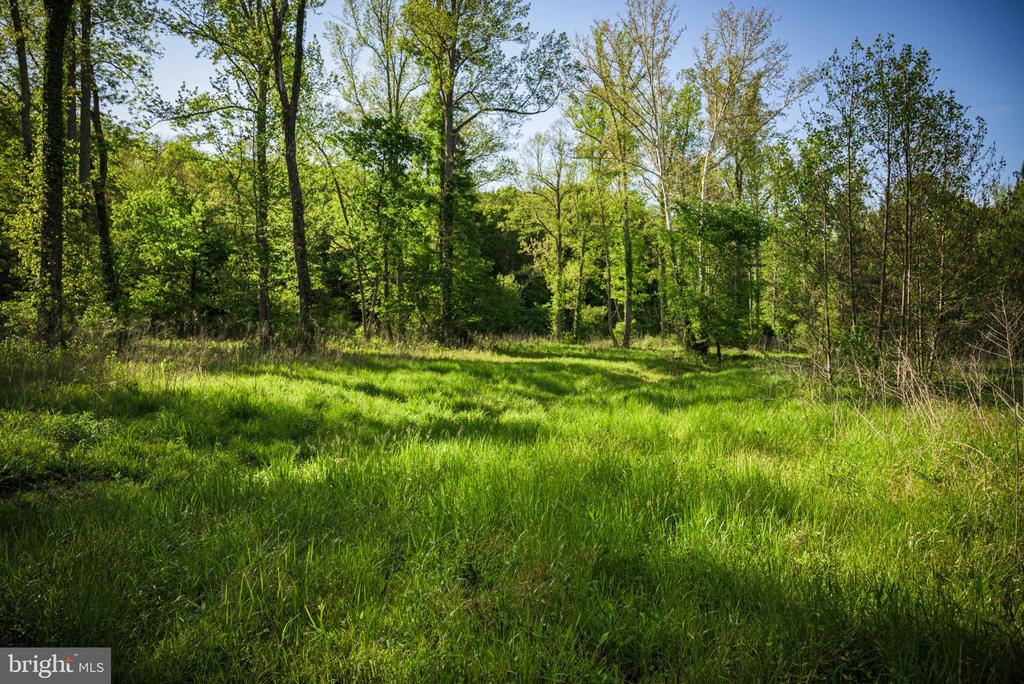 0 HARTS MILL RD, MINERAL, Virginia 23117, ,Land,0 HARTS MILL RD,VALA2009832 MLS # VALA2009832