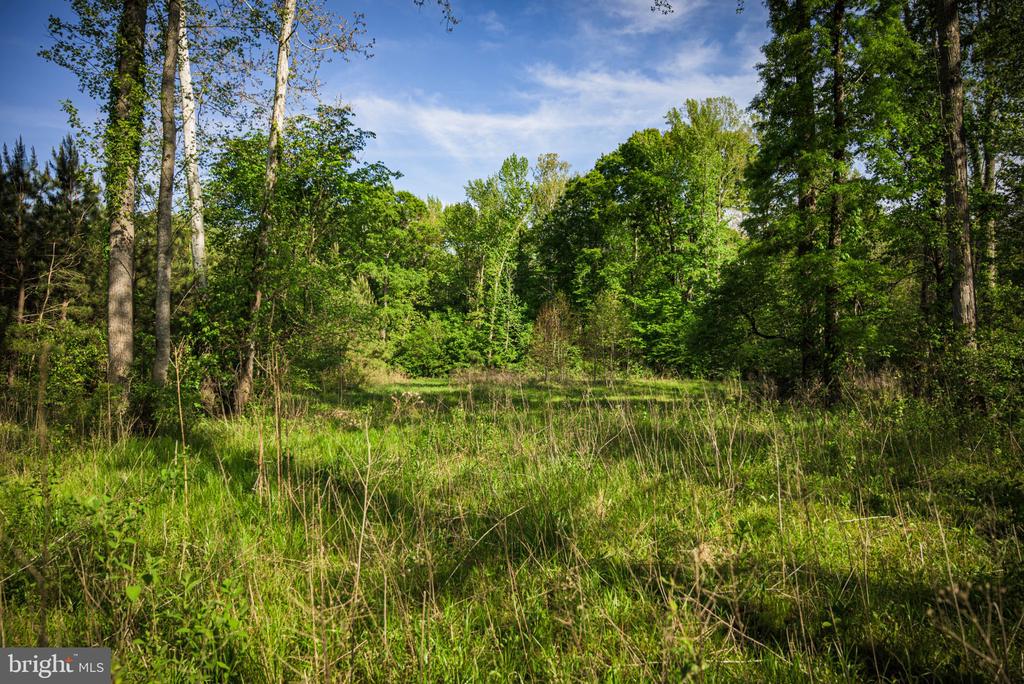 0 HARTS MILL RD, MINERAL, Virginia 23117, ,Land,0 HARTS MILL RD,VALA2009832 MLS # VALA2009832