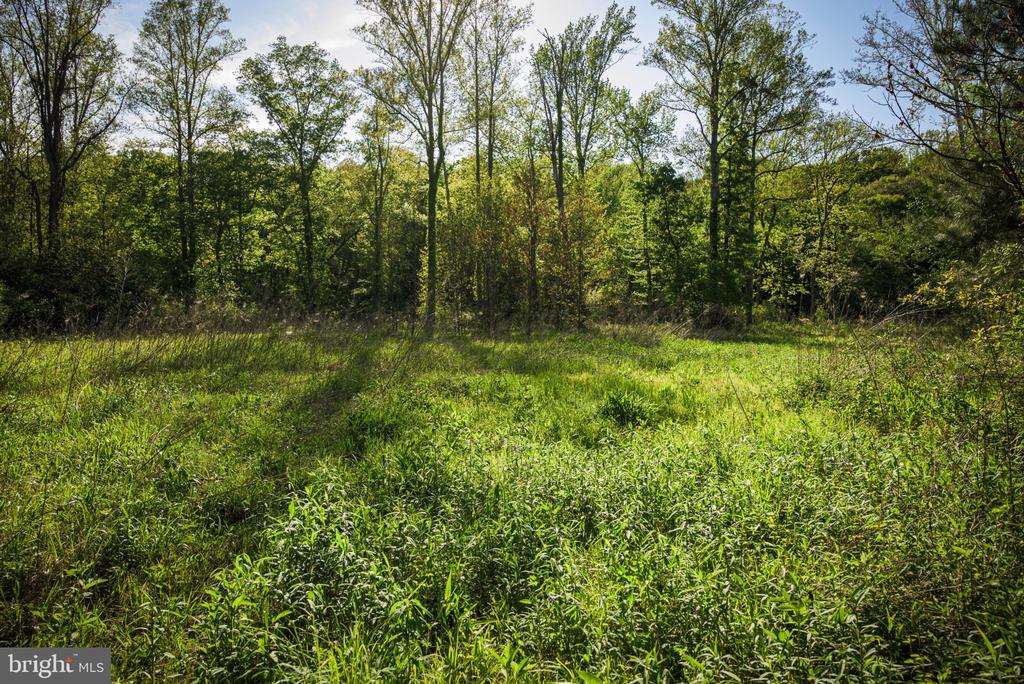 0 HARTS MILL RD, MINERAL, Virginia 23117, ,Land,0 HARTS MILL RD,VALA2009832 MLS # VALA2009832