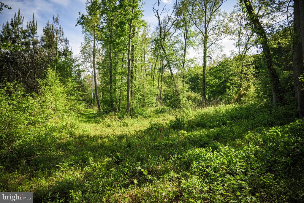 0 HARTS MILL RD, MINERAL, Virginia 23117, ,Land,0 HARTS MILL RD,VALA2009832 MLS # VALA2009832