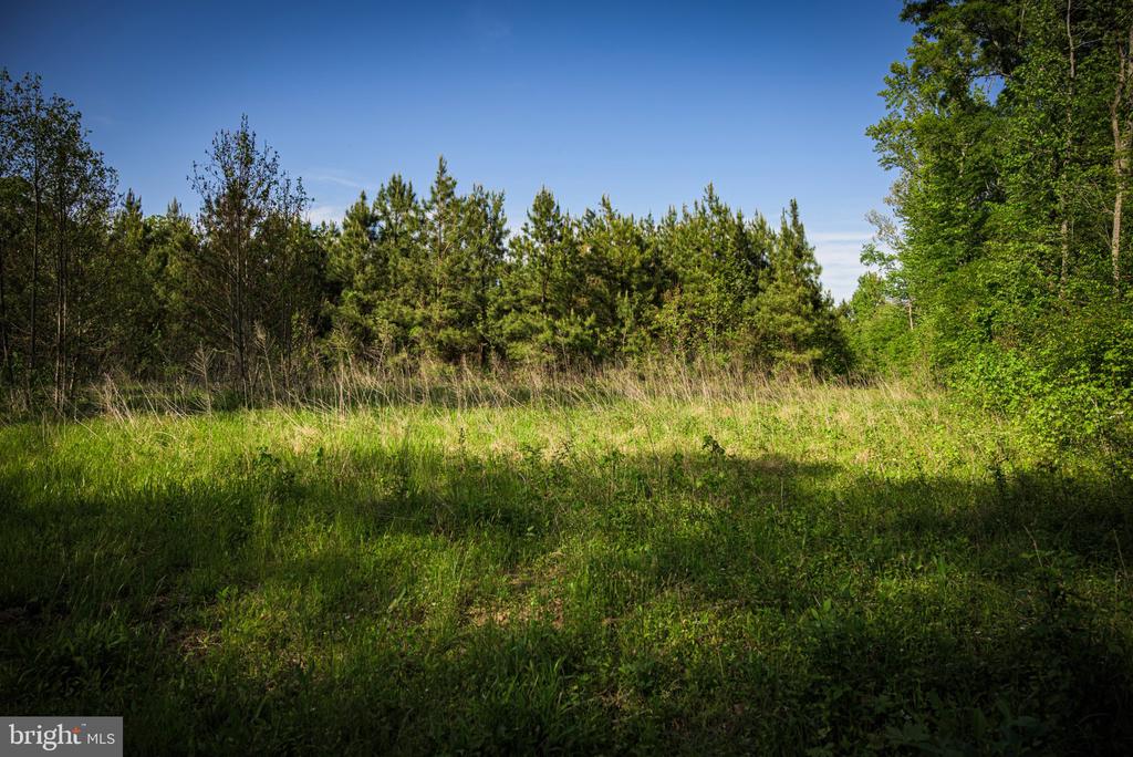 0 HARTS MILL RD, MINERAL, Virginia 23117, ,Land,0 HARTS MILL RD,VALA2009832 MLS # VALA2009832