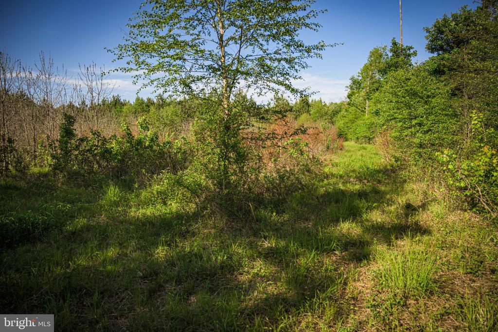 0 HARTS MILL RD, MINERAL, Virginia 23117, ,Land,0 HARTS MILL RD,VALA2009832 MLS # VALA2009832