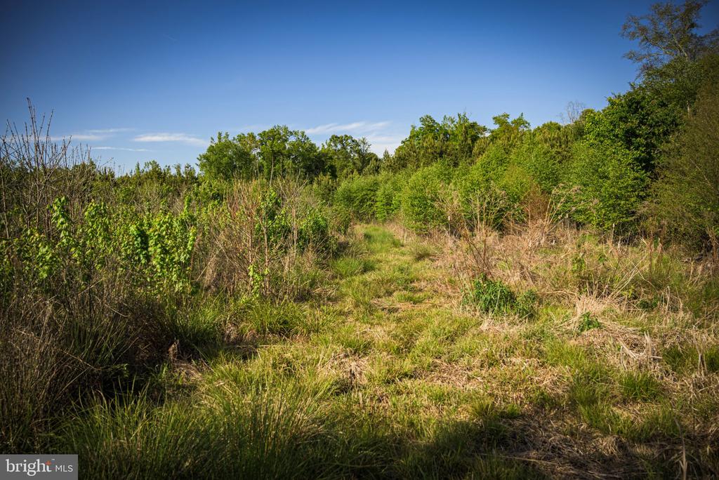 0 HARTS MILL RD, MINERAL, Virginia 23117, ,Land,0 HARTS MILL RD,VALA2009832 MLS # VALA2009832