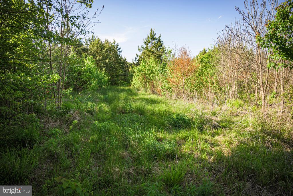 0 HARTS MILL RD, MINERAL, Virginia 23117, ,Land,0 HARTS MILL RD,VALA2009832 MLS # VALA2009832