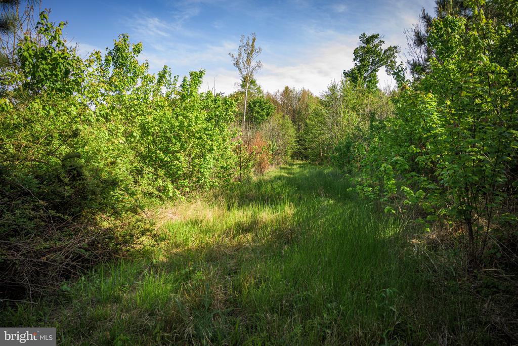 0 HARTS MILL RD, MINERAL, Virginia 23117, ,Land,0 HARTS MILL RD,VALA2009832 MLS # VALA2009832