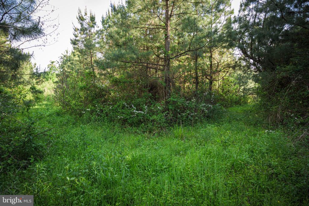 0 HARTS MILL RD, MINERAL, Virginia 23117, ,Land,0 HARTS MILL RD,VALA2009832 MLS # VALA2009832