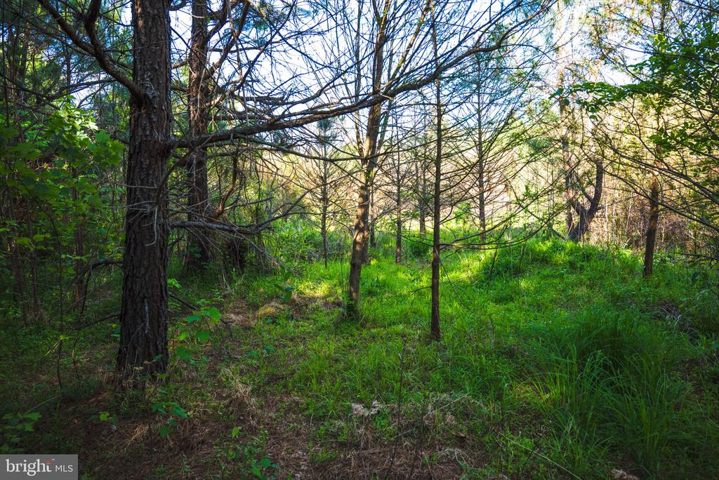 0 HARTS MILL RD, MINERAL, Virginia 23117, ,Land,0 HARTS MILL RD,VALA2009832 MLS # VALA2009832