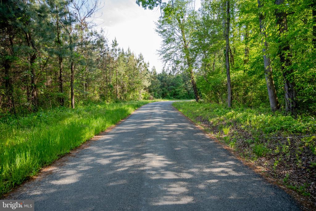 0 HARTS MILL RD, MINERAL, Virginia 23117, ,Land,0 HARTS MILL RD,VALA2009832 MLS # VALA2009832
