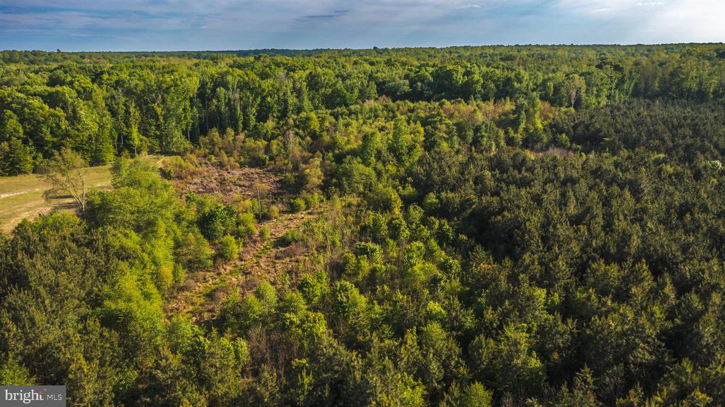0 HARTS MILL RD, MINERAL, Virginia 23117, ,Land,0 HARTS MILL RD,VALA2009832 MLS # VALA2009832