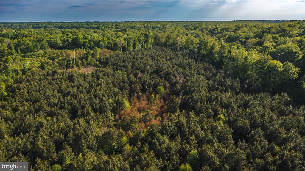 0 HARTS MILL RD, MINERAL, Virginia 23117, ,Land,0 HARTS MILL RD,VALA2009832 MLS # VALA2009832