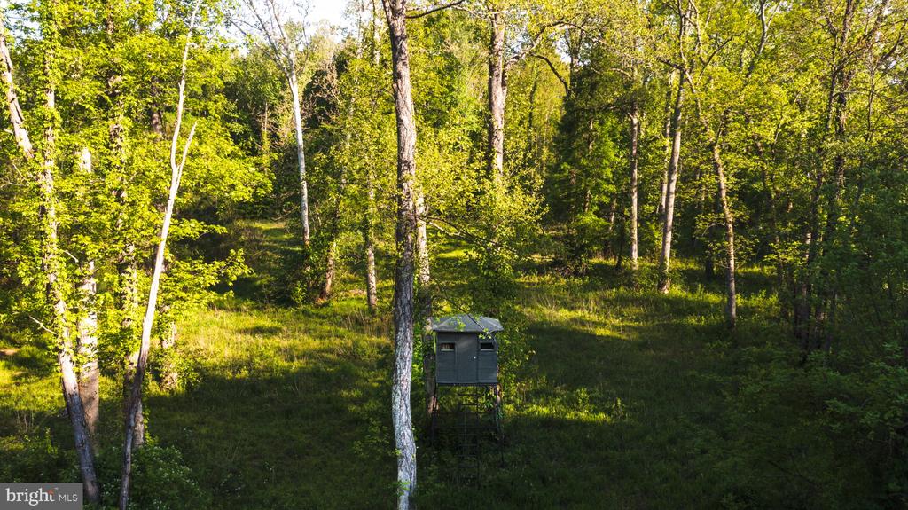 0 HARTS MILL RD, MINERAL, Virginia 23117, ,Land,0 HARTS MILL RD,VALA2009832 MLS # VALA2009832