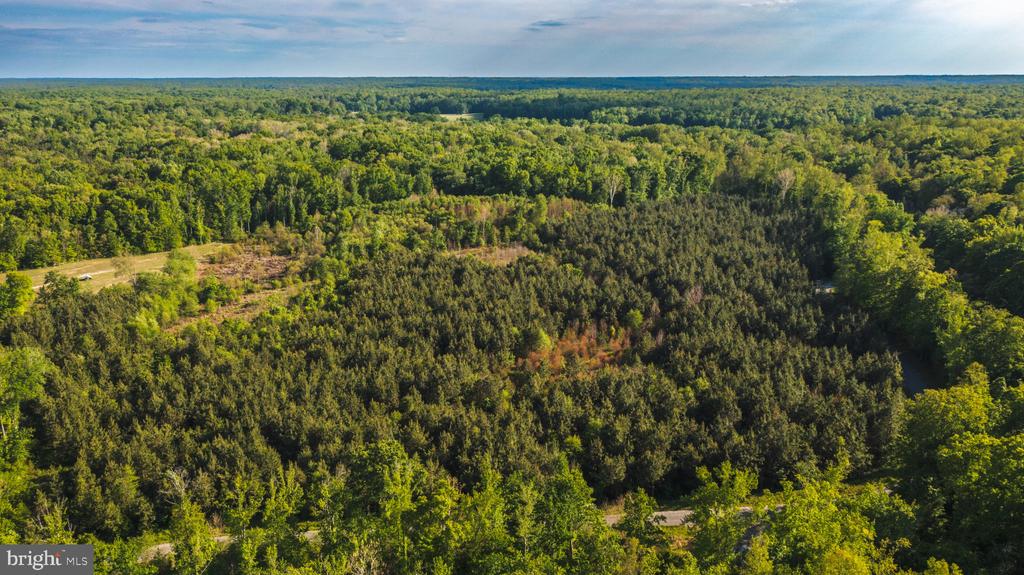 0 HARTS MILL RD, MINERAL, Virginia 23117, ,Land,0 HARTS MILL RD,VALA2009832 MLS # VALA2009832