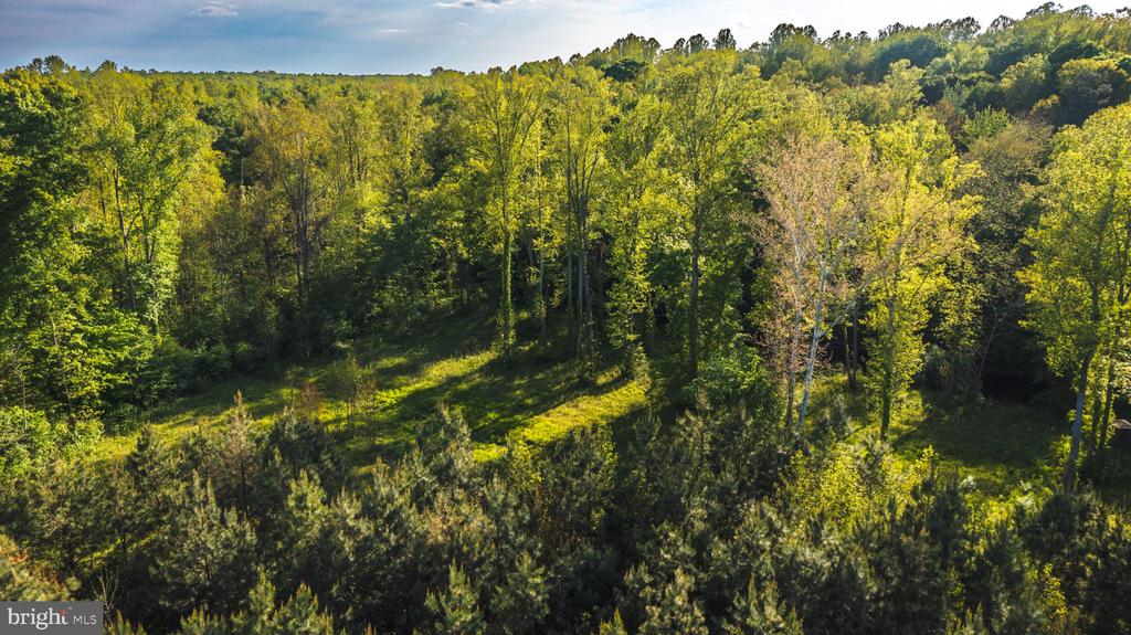 0 HARTS MILL RD, MINERAL, Virginia 23117, ,Land,0 HARTS MILL RD,VALA2009832 MLS # VALA2009832