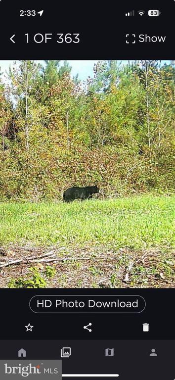 0 HARTS MILL RD, MINERAL, Virginia 23117, ,Land,0 HARTS MILL RD,VALA2009832 MLS # VALA2009832