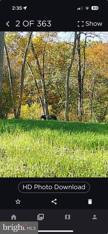 0 HARTS MILL RD, MINERAL, Virginia 23117, ,Land,0 HARTS MILL RD,VALA2009832 MLS # VALA2009832