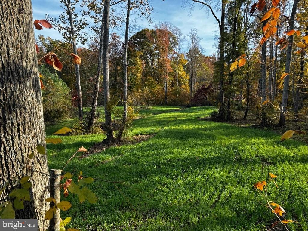 0 HARTS MILL RD, MINERAL, Virginia 23117, ,Land,0 HARTS MILL RD,VALA2009832 MLS # VALA2009832