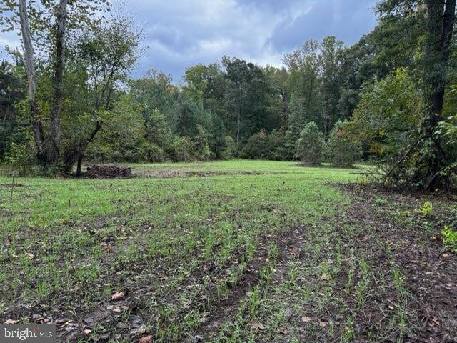 0 HARTS MILL RD, MINERAL, Virginia 23117, ,Land,0 HARTS MILL RD,VALA2009832 MLS # VALA2009832
